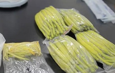 饭堂承包公司BET356官网下载告诉您：黄花菜的正确食用方法及储存方法